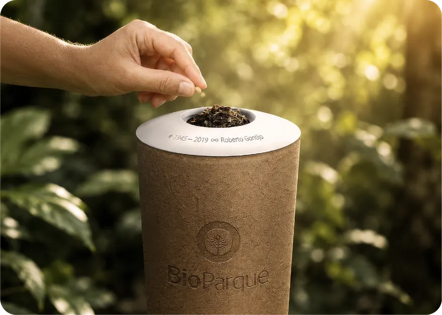 Mão depositando sementes na urna biodegradável BioParque